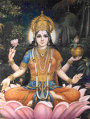 goddess lakshmi photo6